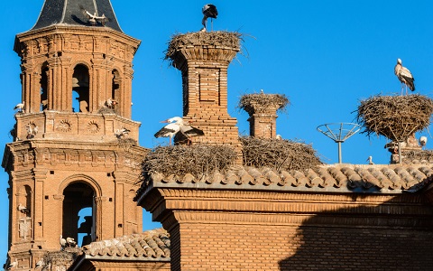 Cigüeñas y sus nidos en la Colegiata de San Miguel en Alfaro, La Rioja